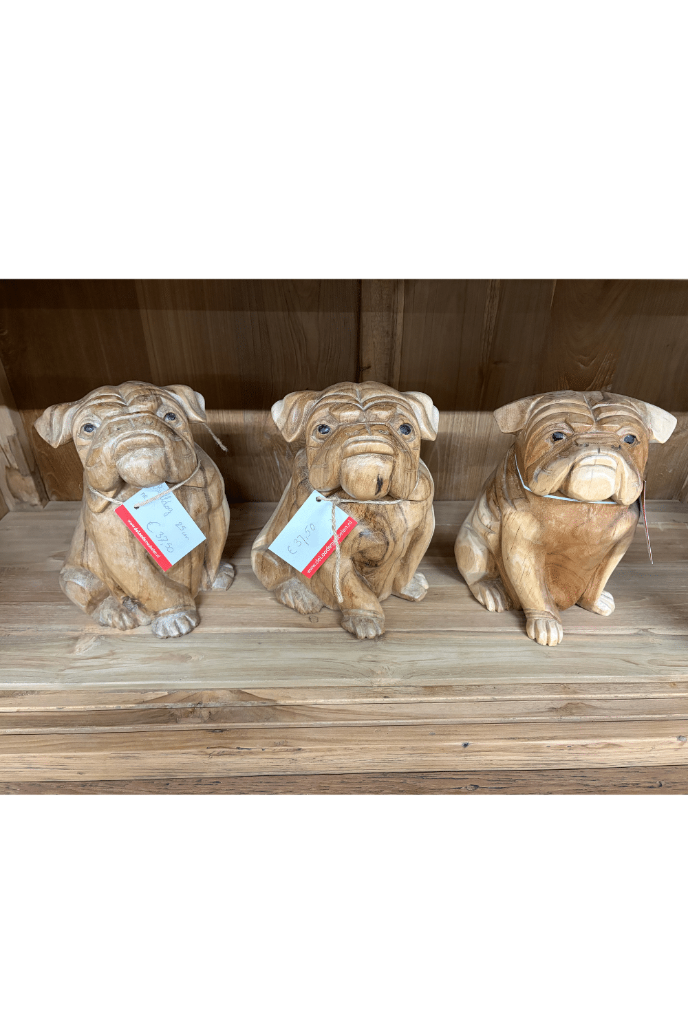 houten engelse bulldog beeld 20x26 cm