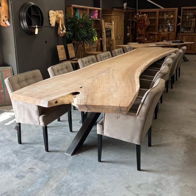 suar boomstamtafel