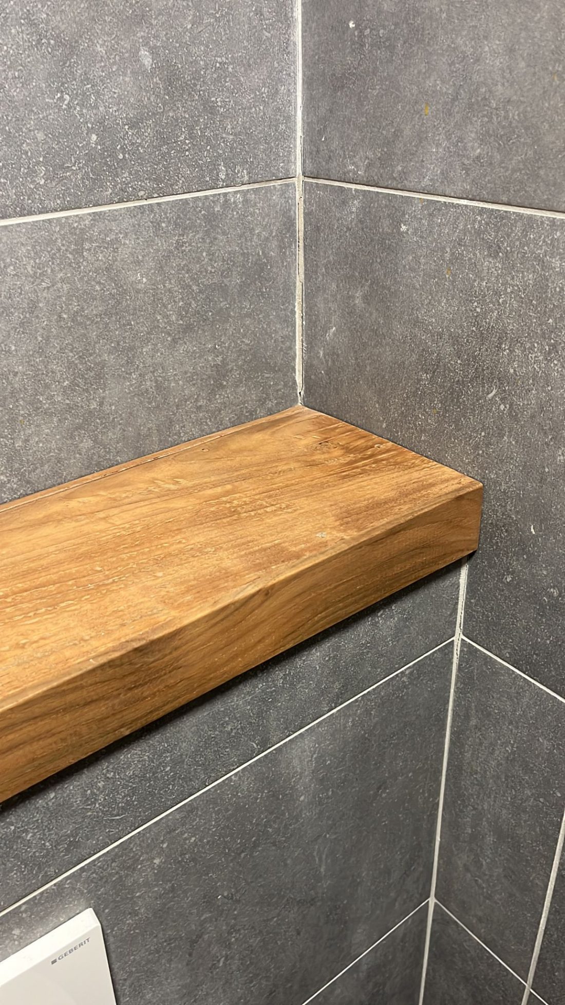 toilet plank