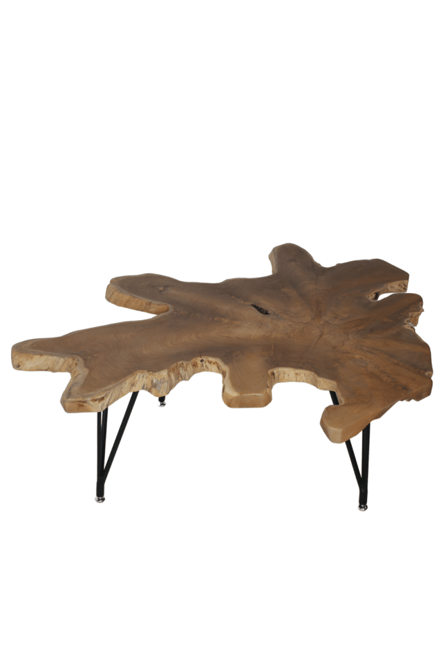 gekke boomstam salontafel