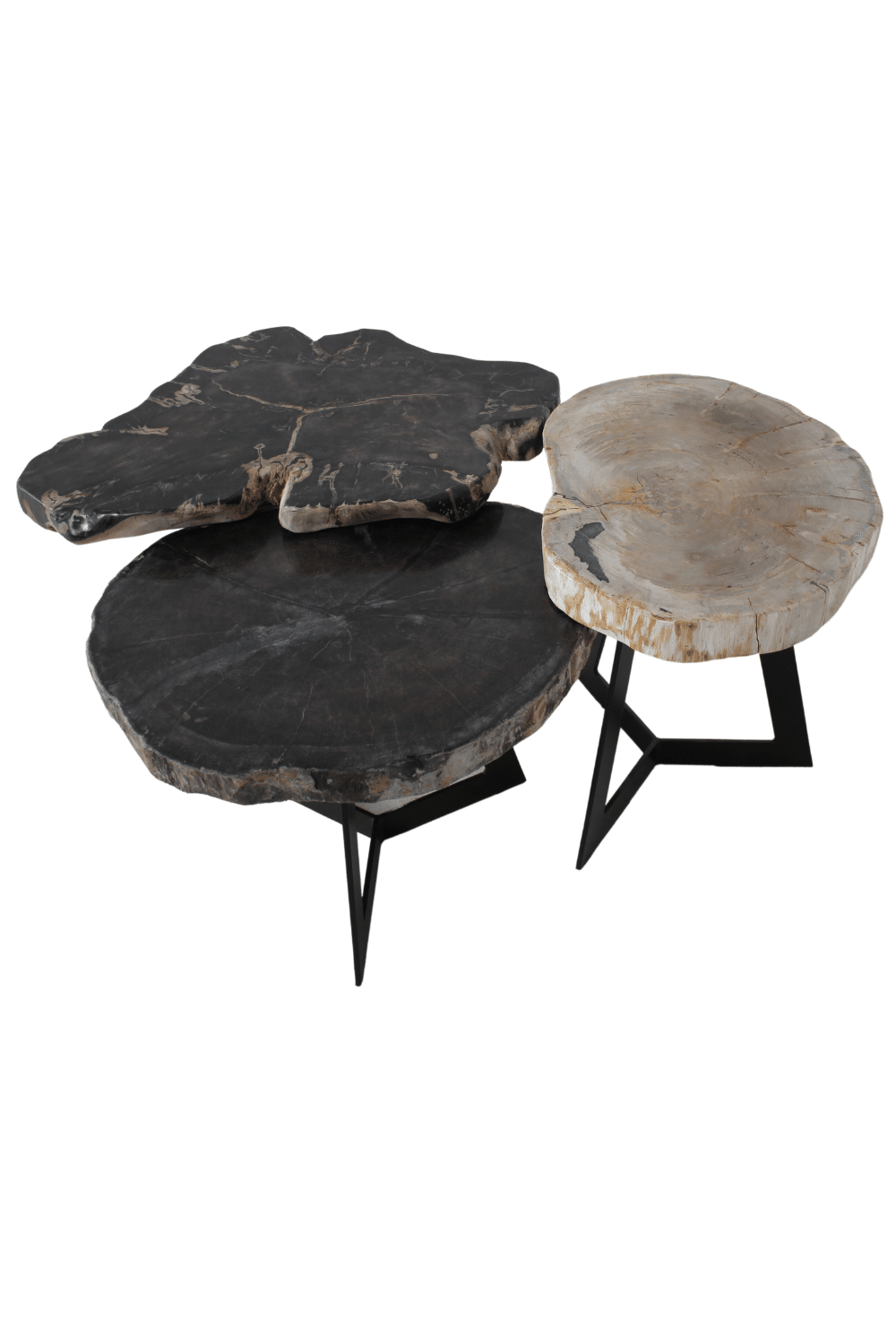 versteend houten salontafel zwart fossile bijzettafeltje
