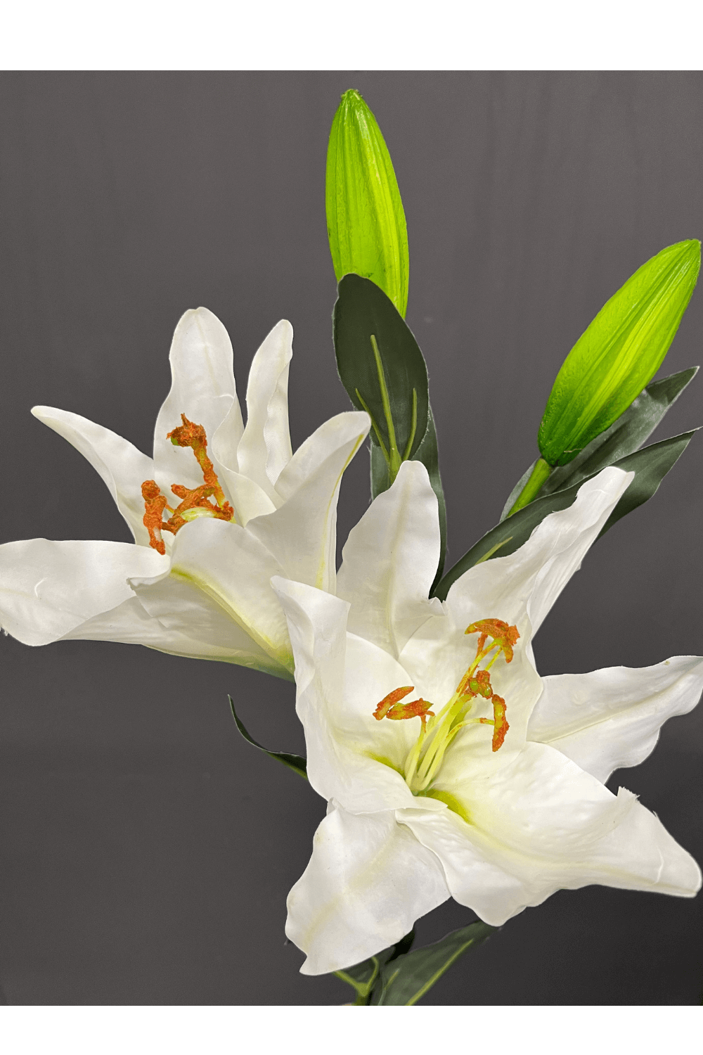 witte lelie kunst bloem