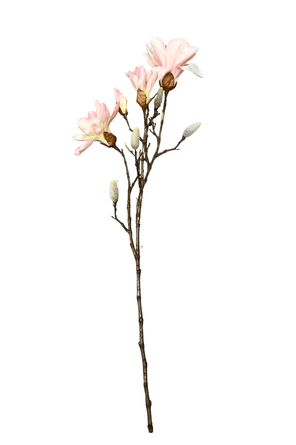 kunst magnolia tak