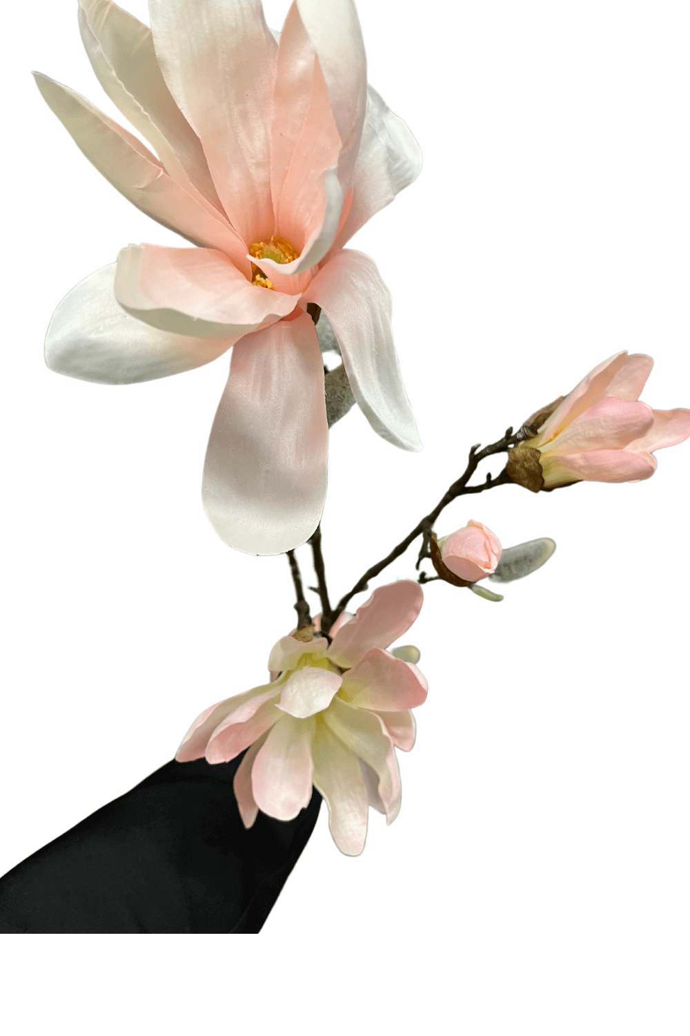 zijde magnolia bloem