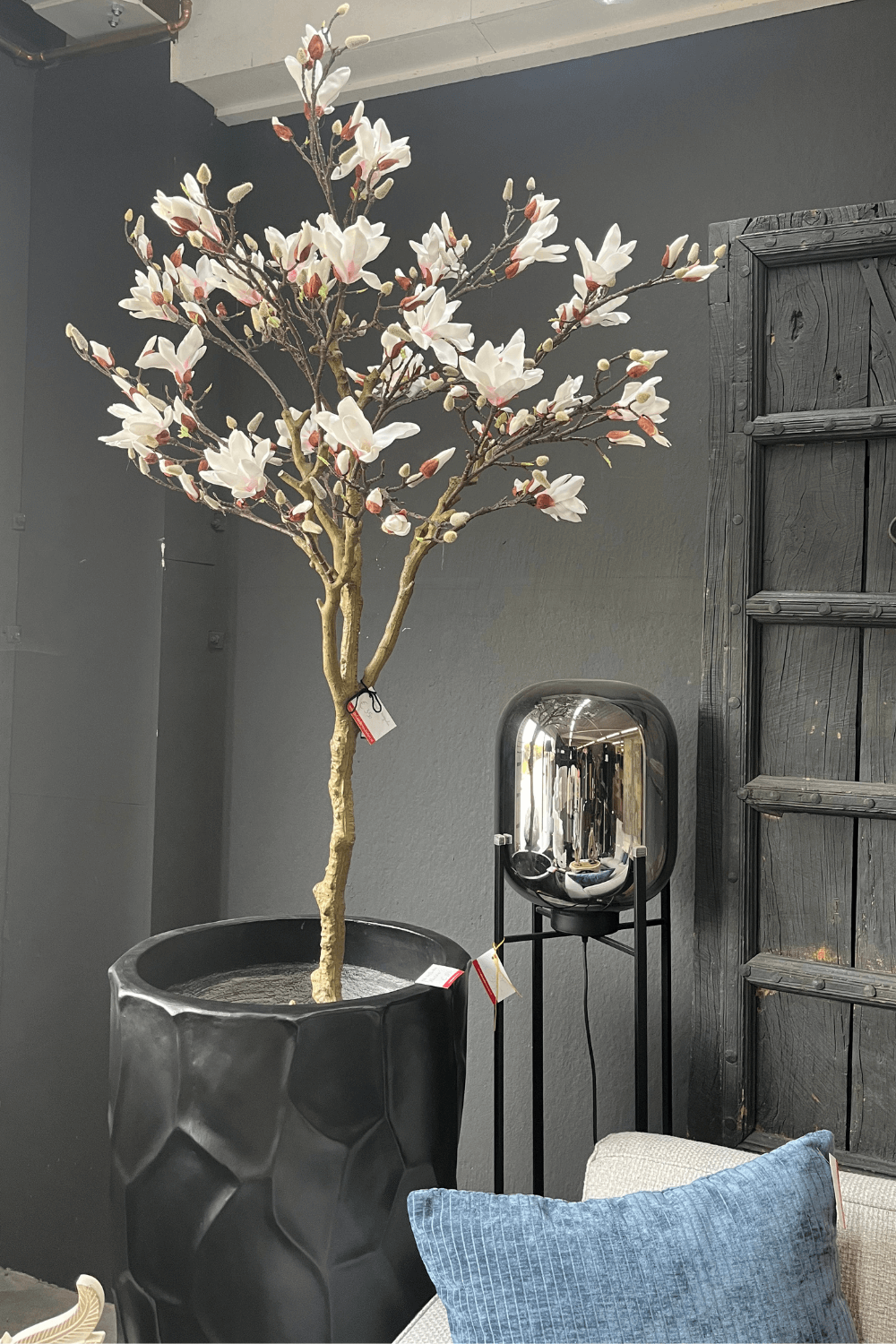Kunst magnolia boom