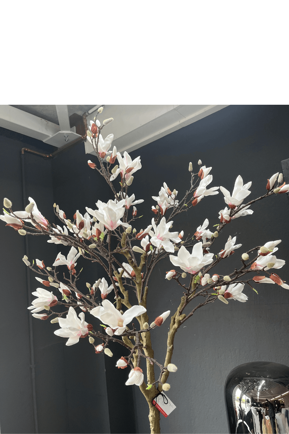 Kunst magnolia boom