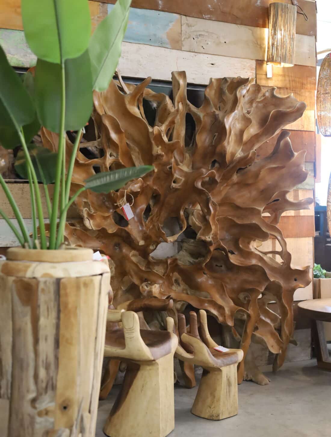 wortel teak wanddecoratie