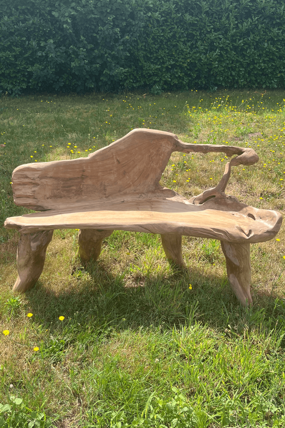 stoere teak houten wortel tuin bank