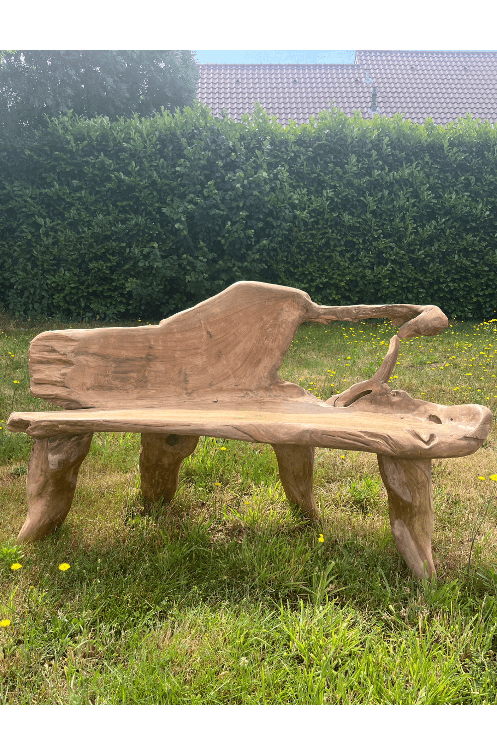 stoere teak houten wortel tuin bank