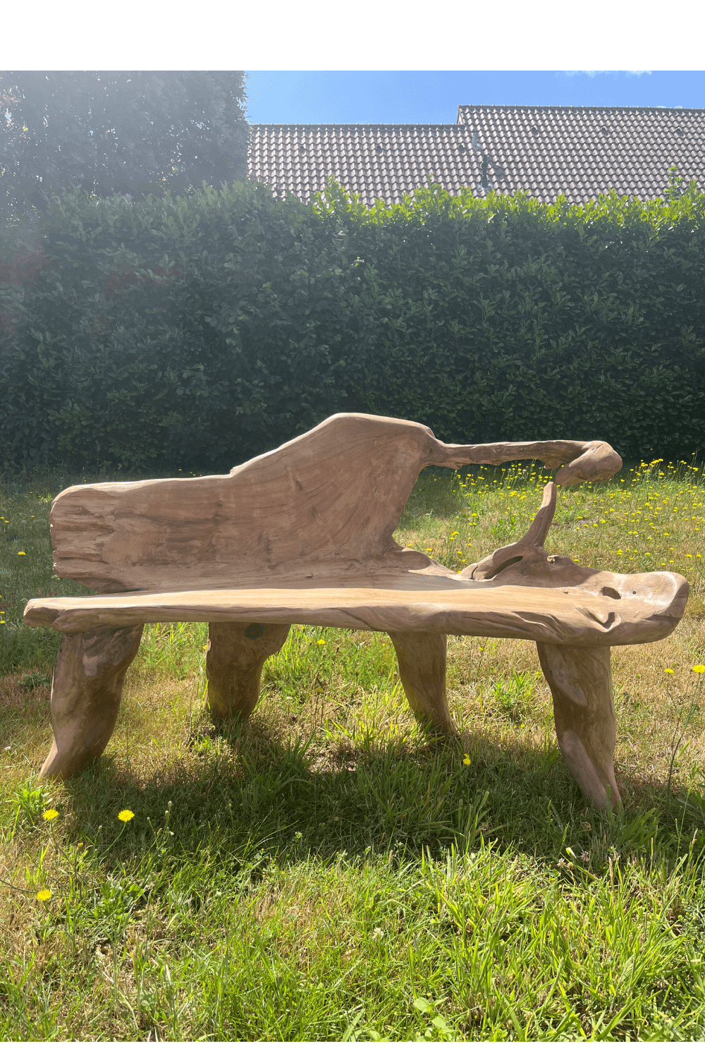 stoere teak houten wortel tuin bank