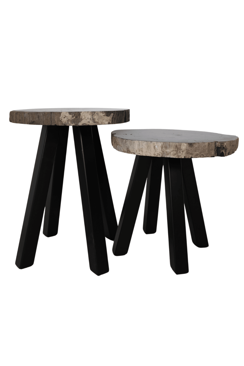 fossiel versteend houten salontafel met metalen poot