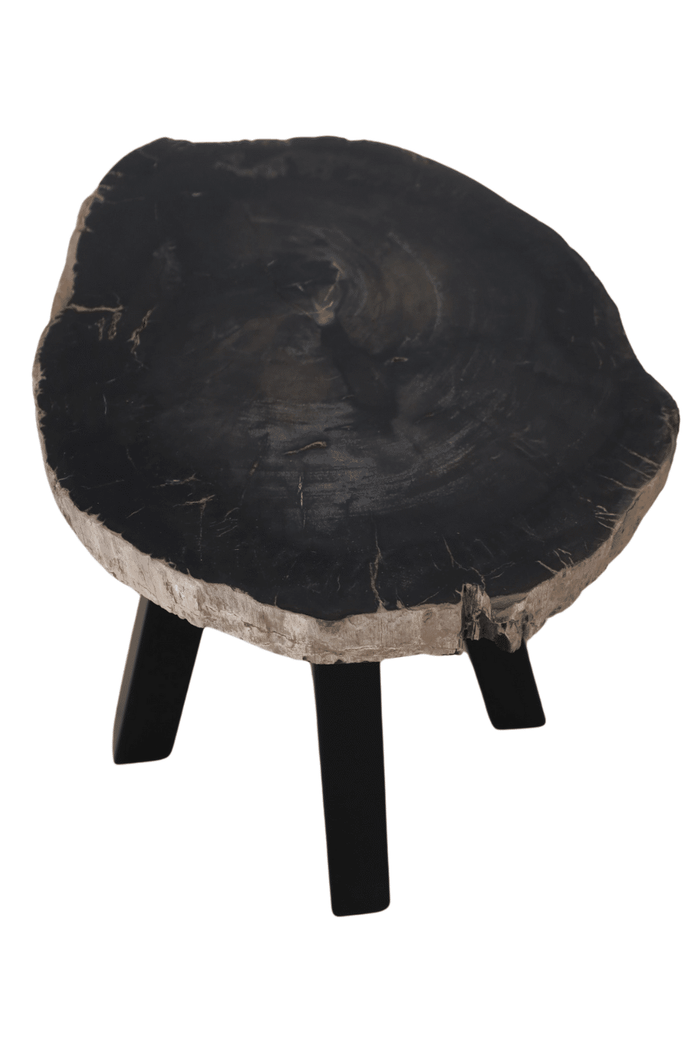 fossiel versteend houten salontafel met metalen poot