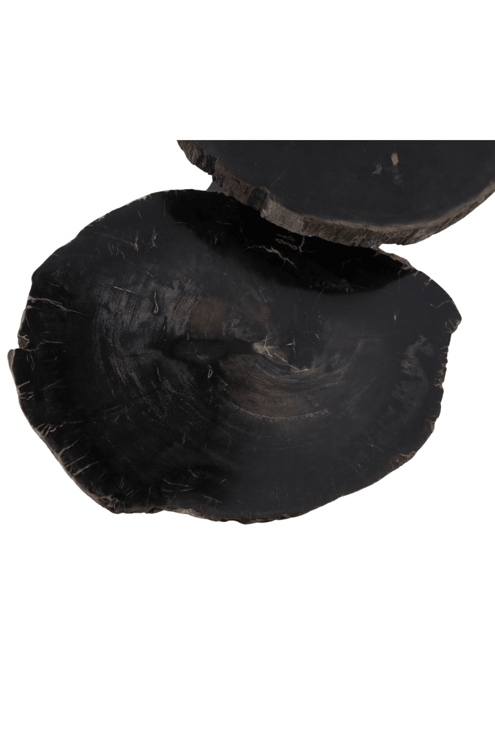 fossiel versteend houten salontafel met metalen poot