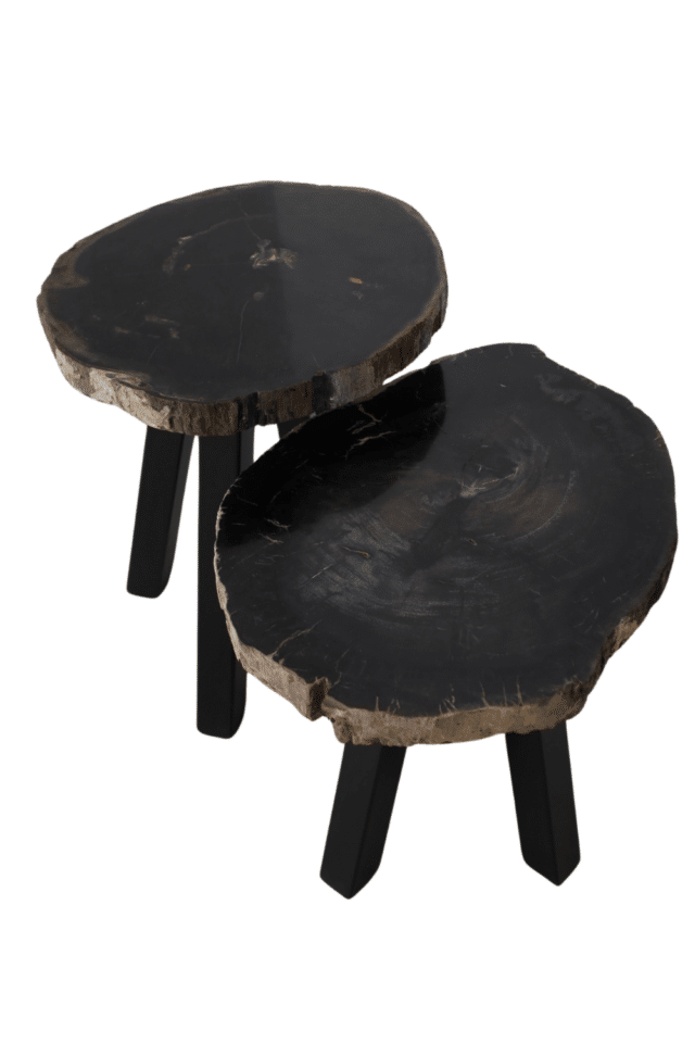 fossiel versteend houten salontafel met metalen poot