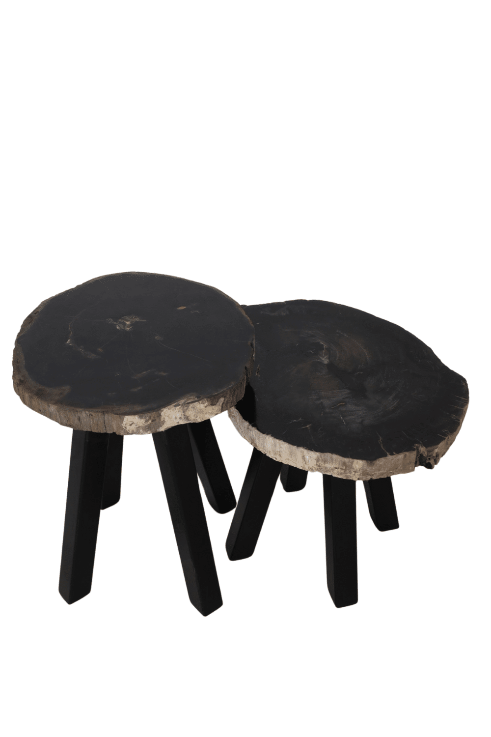 fossiel versteend houten salontafel met metalen poot