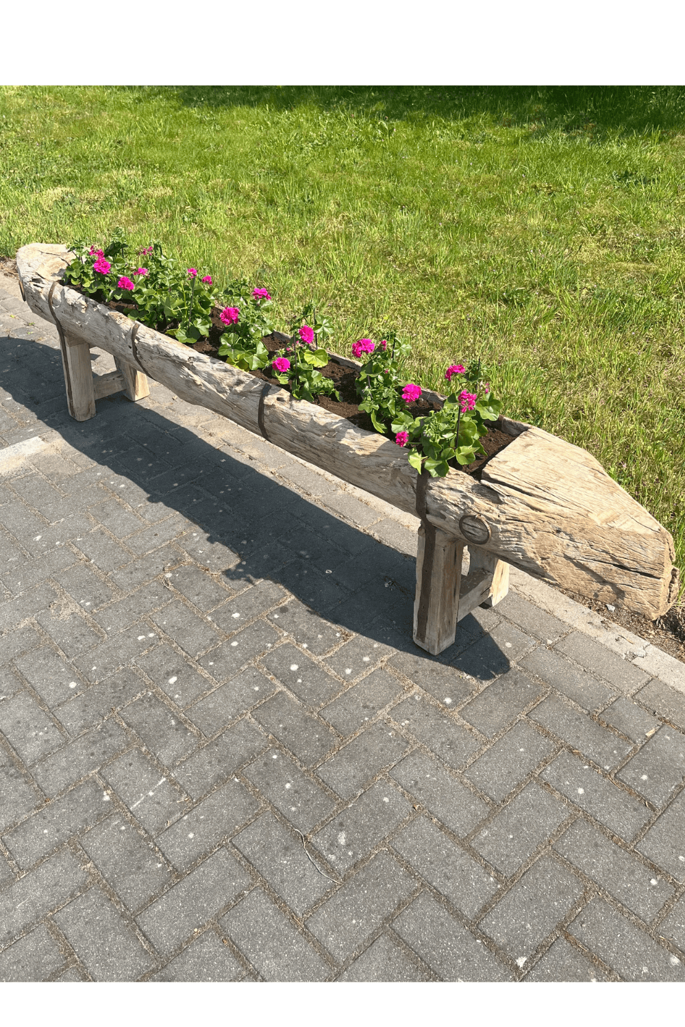 Oude voederbak als plantenbak 260x35x52 cm