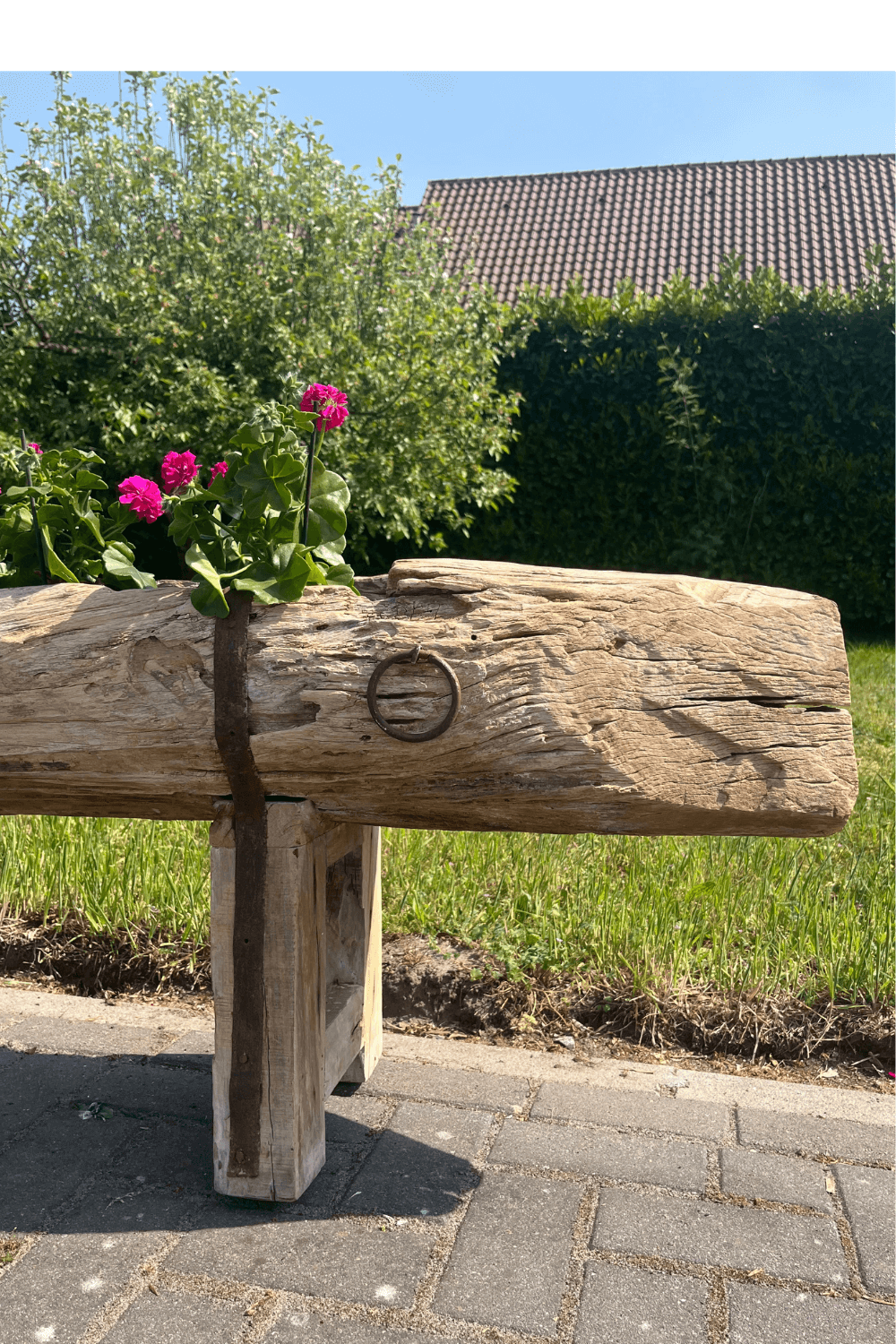 Oude voederbak als plantenbak 260x35x52 cm