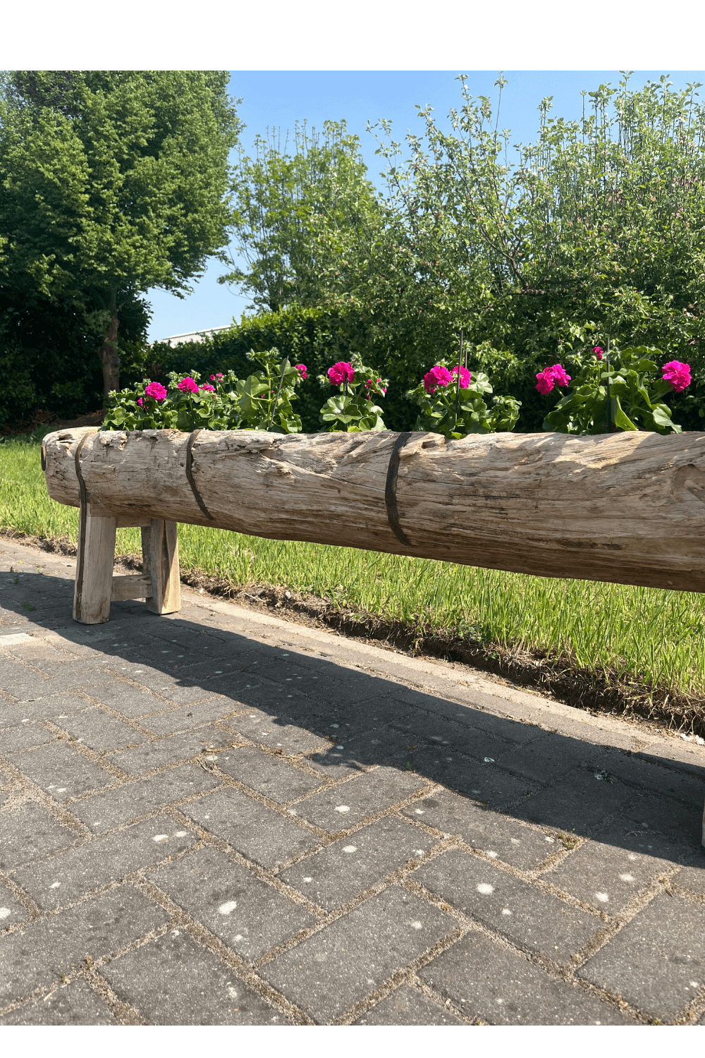 Oude voederbak als plantenbak 260x35x52 cm