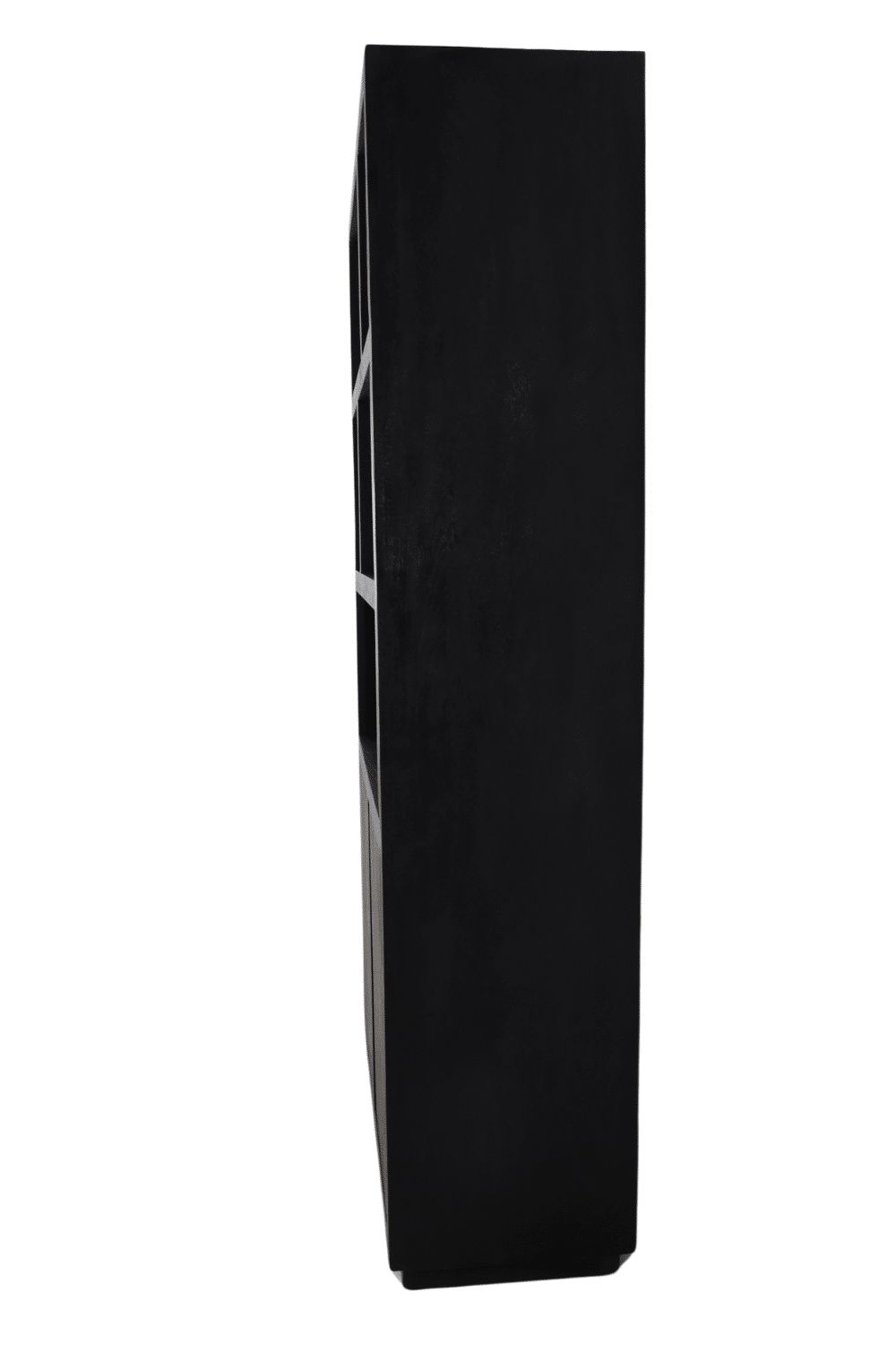 Zwarte smalle vakkenkast mango hout 100x45x210 cm