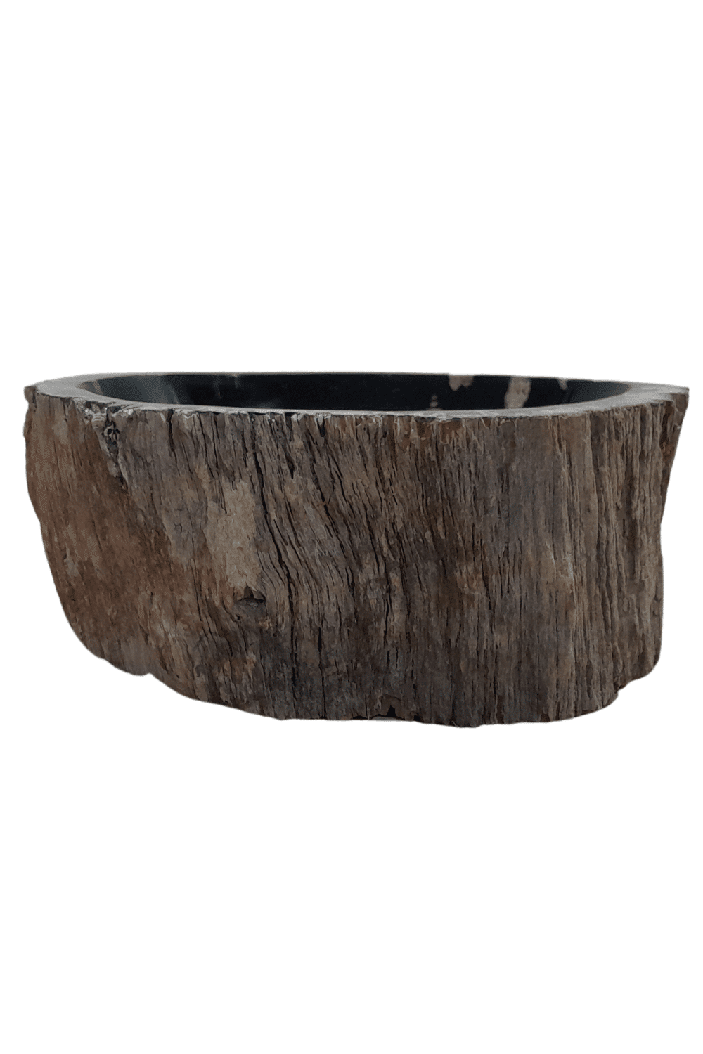 Fossiele wasbak rond versteend hout 41x36x15 cm