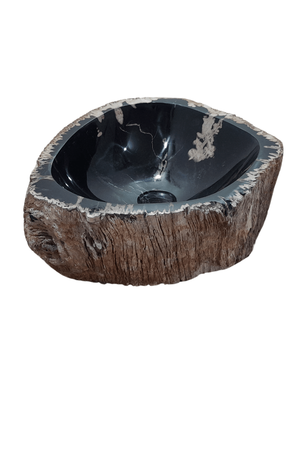 Fossiele wasbak rond versteend hout 41x36x15 cm