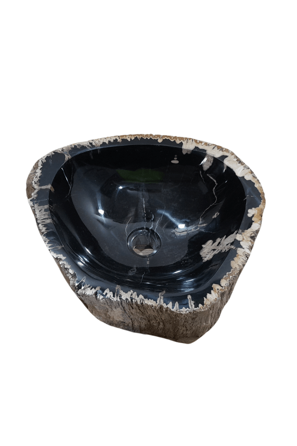Fossiele wasbak rond versteend hout 41x36x15 cm
