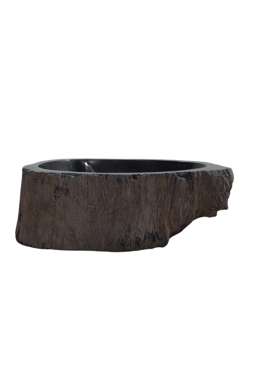 versteend houten wasbak fossiel 45 cm