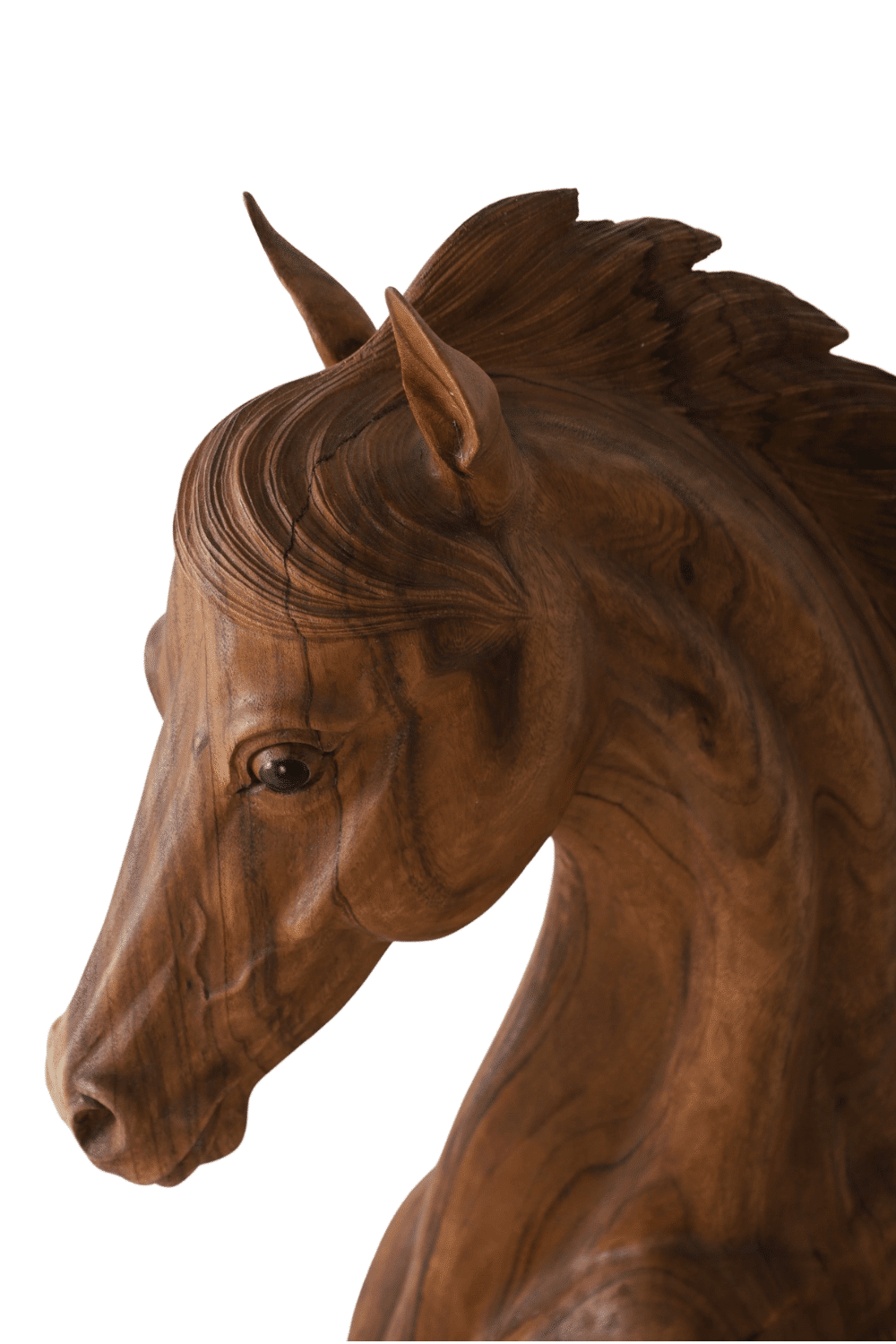 Paarden hoofd beeld van paarden kop houtsnijwerk 50x40x100cm