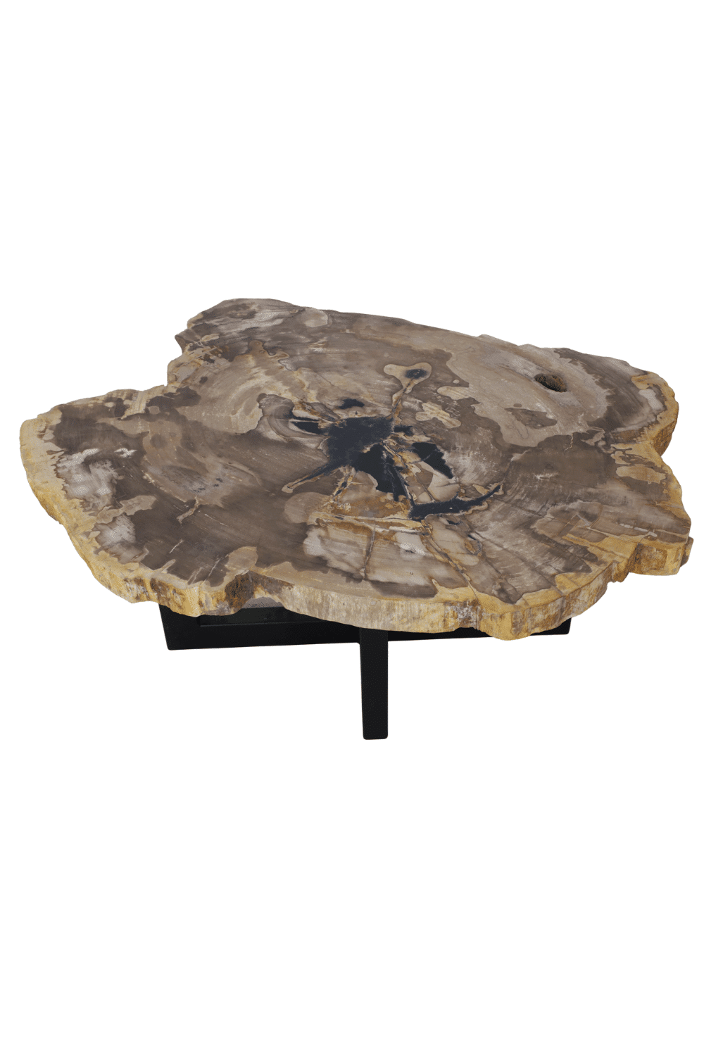 fossiele salontafel van versteend hout met metalen onderstel mooi beige met zwart blad 100x80 cm