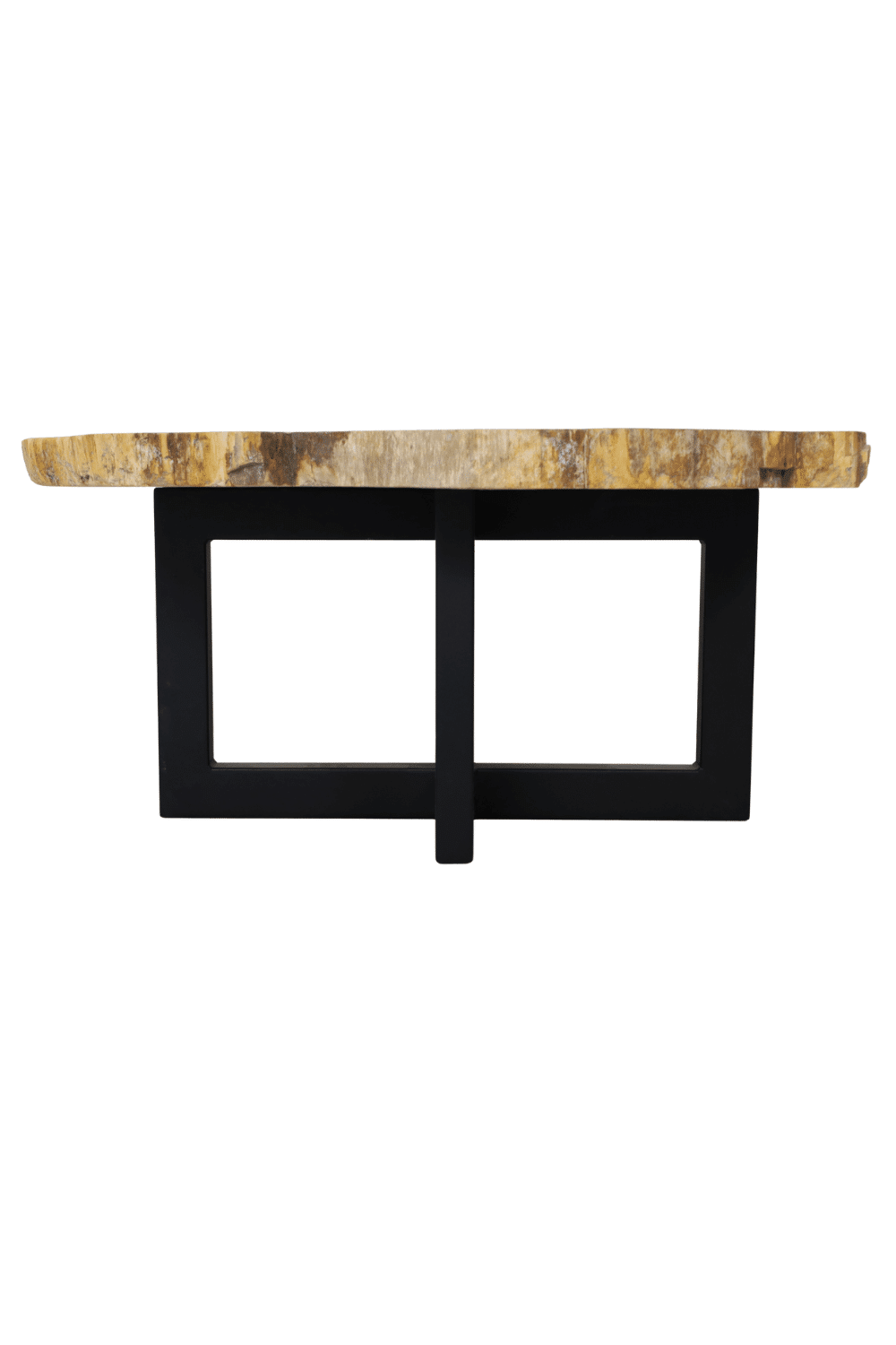 fossiele salontafel van versteend hout met metalen onderstel mooi beige met zwart blad 100x80 cm