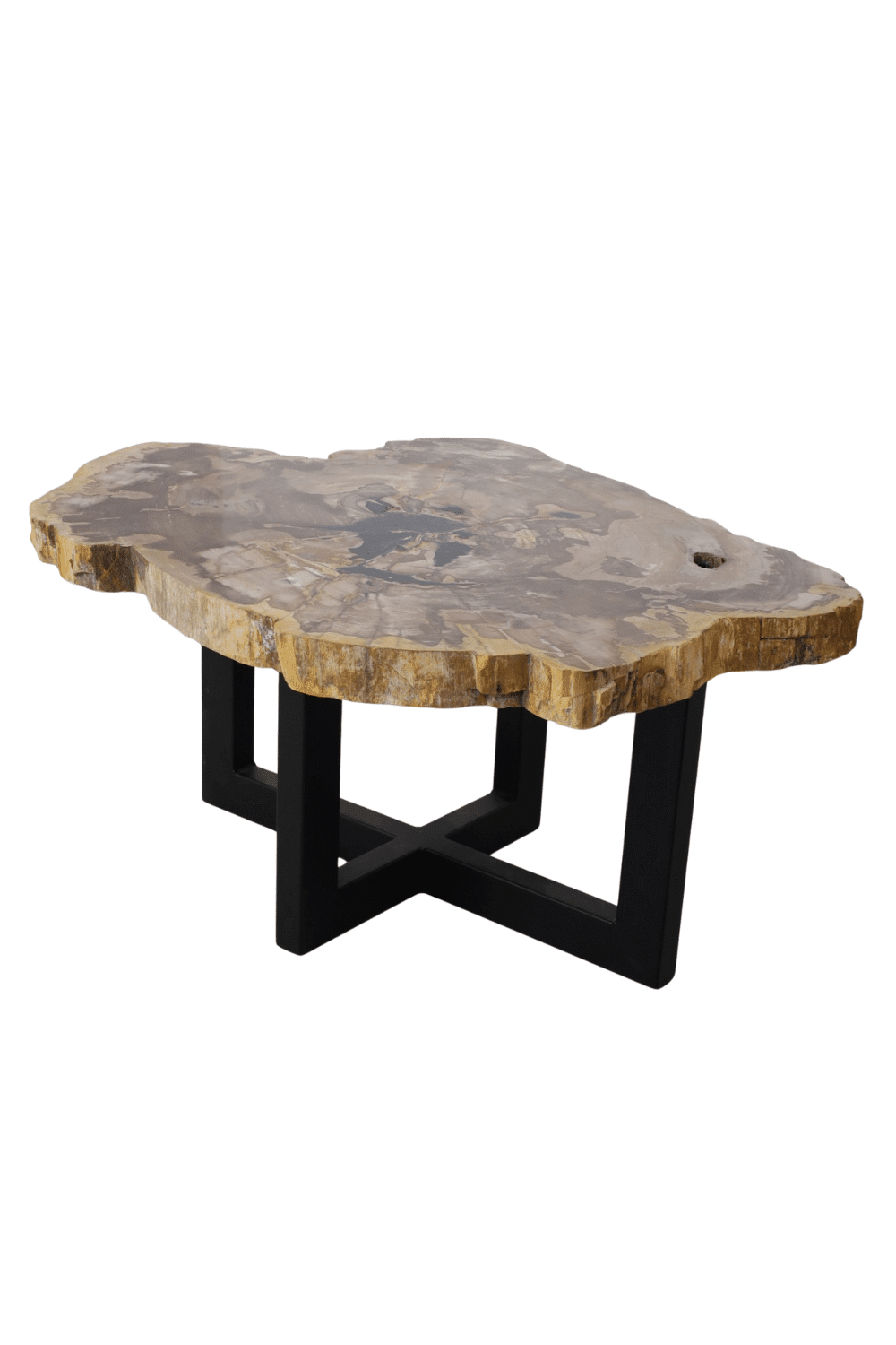 fossiele salontafel van versteend hout met metalen onderstel mooi beige met zwart blad 100x80 cm