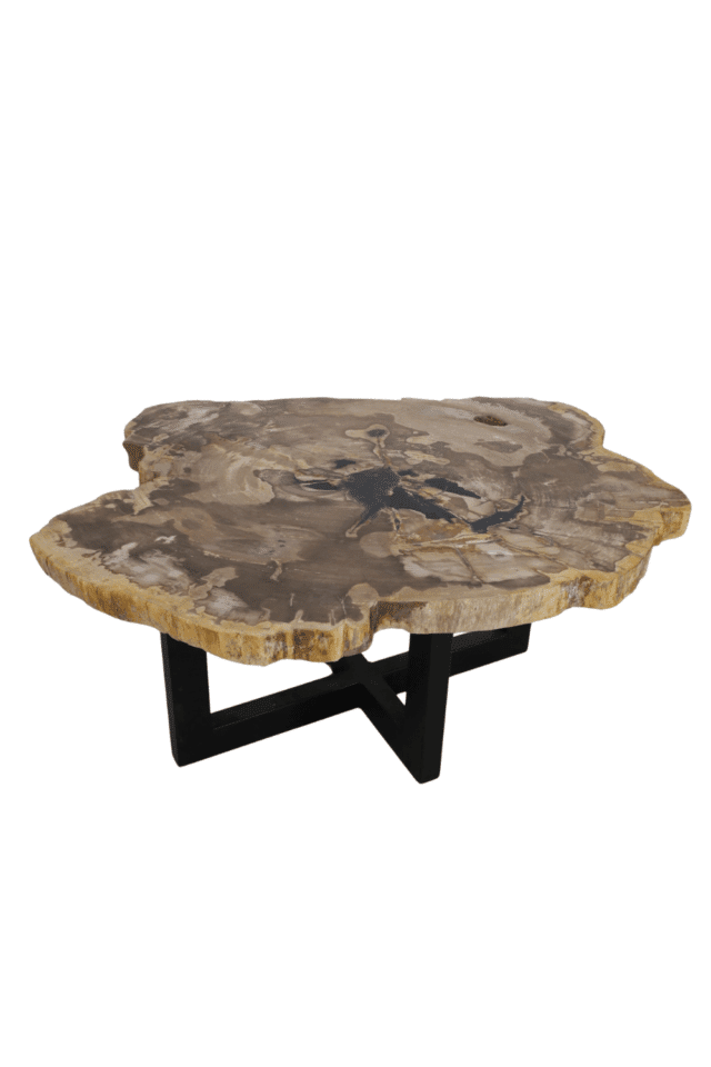 fossiele salontafel van versteend hout met metalen onderstel mooi beige met zwart blad 100x80 cm
