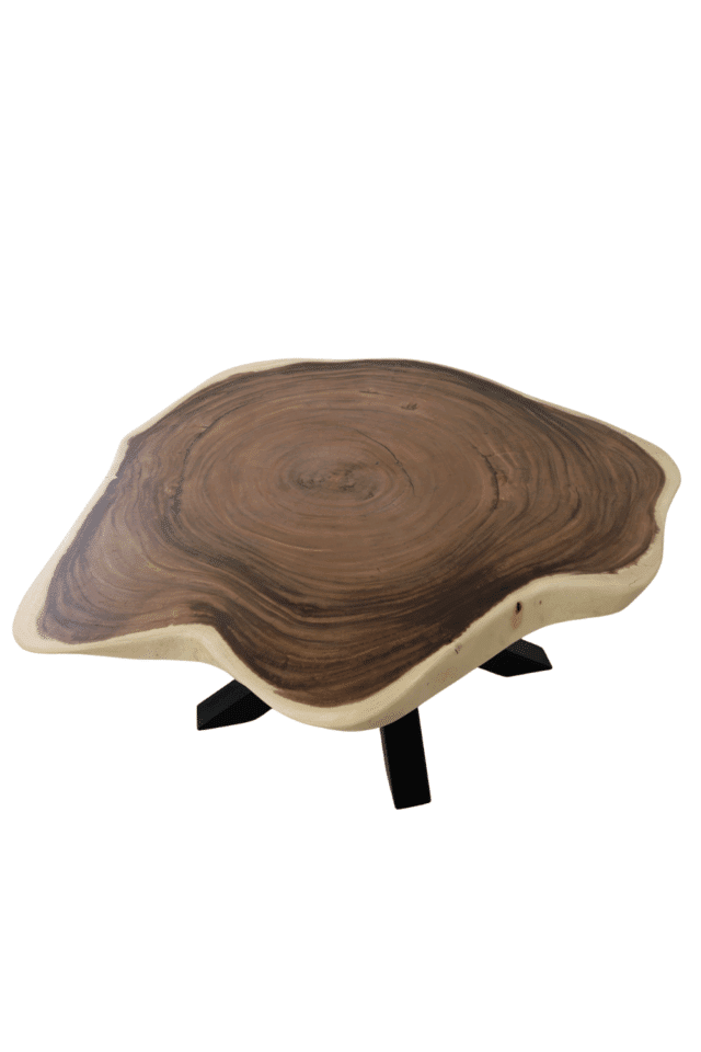 unieke mooie boomstam tafel in ronde vorm