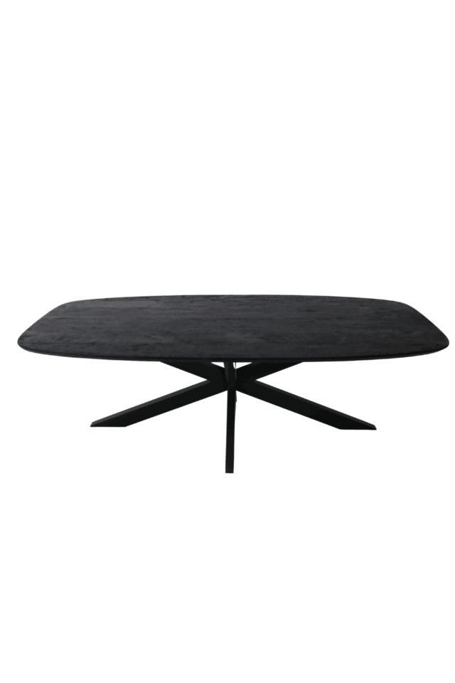 zwarte mango deens ovale eettafel 240 cm