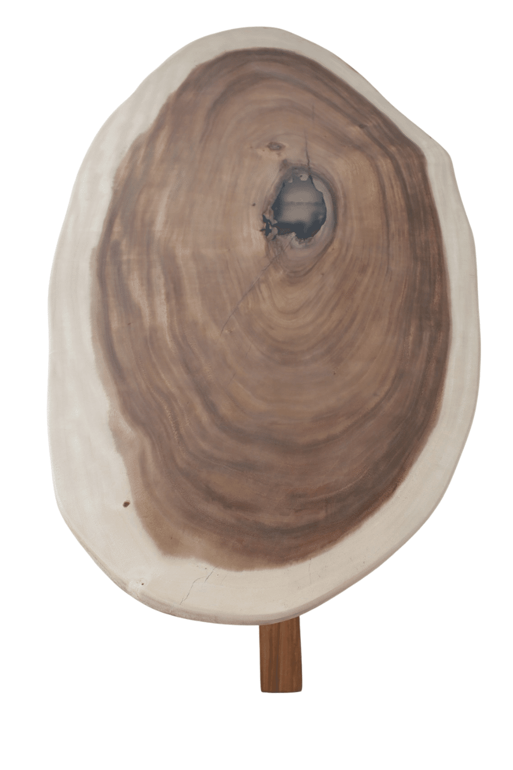 Suar boomstam houten ovale organische tafel 276x98x78 cm Suar boomstam houten ovale organische tafel 276x98x78 cm