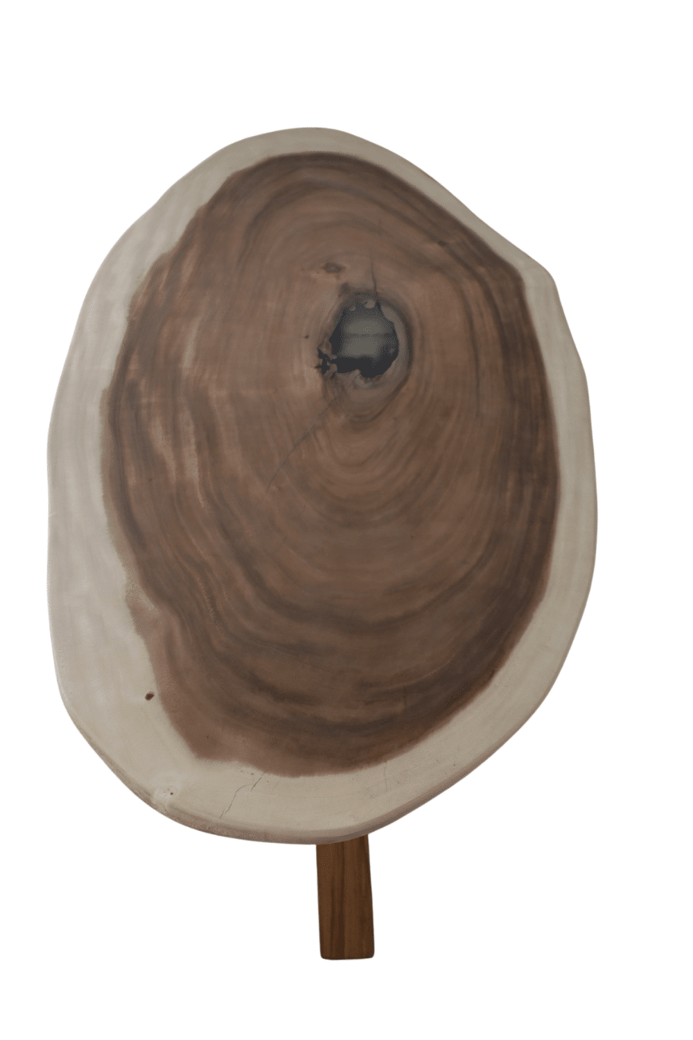 Suar boomstam houten ovale organische tafel 276x98x78 cm Suar boomstam houten ovale organische tafel 276x98x78 cm