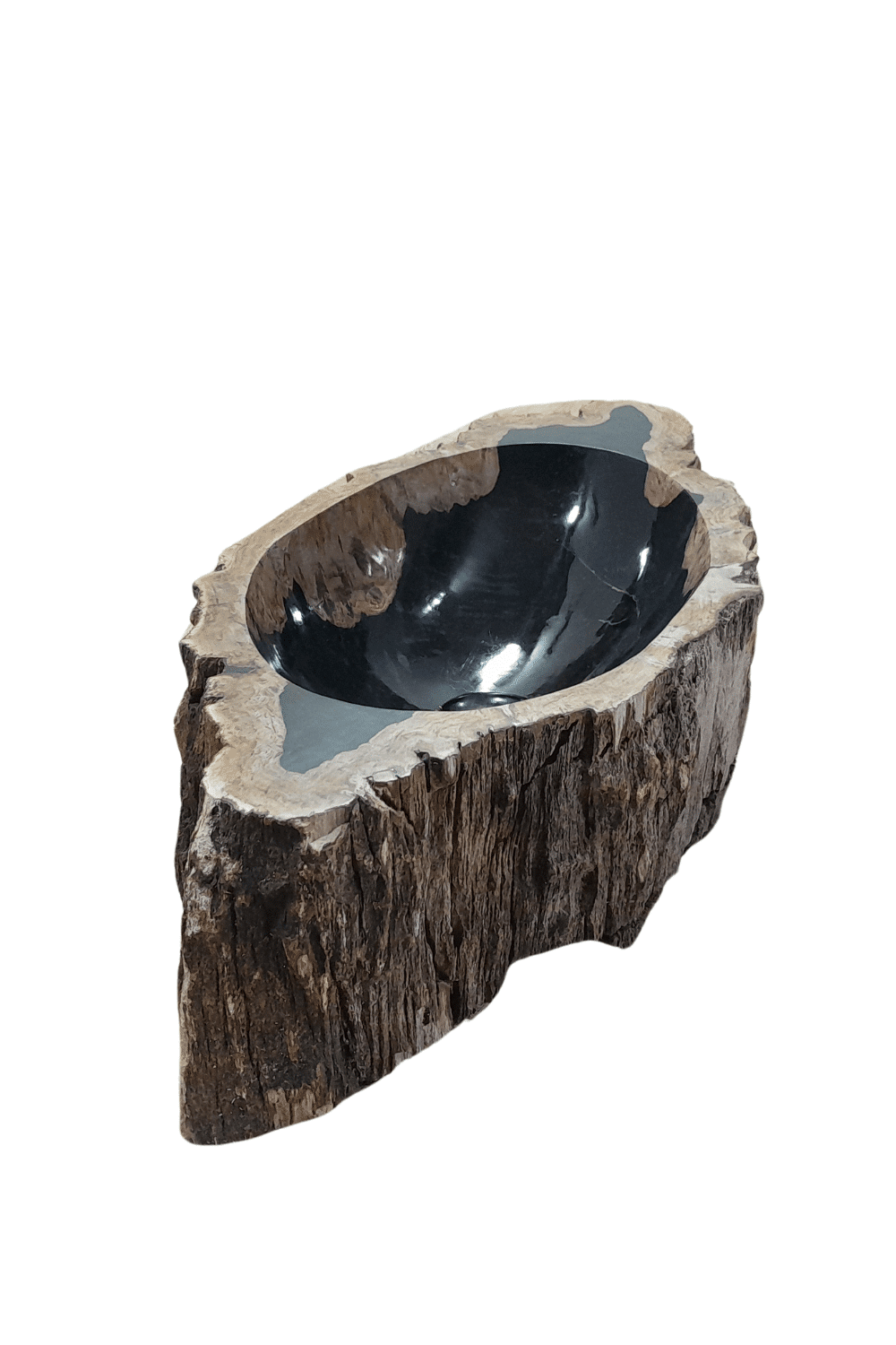 Fossiele versteend houten wasbak 65x31x15 cm