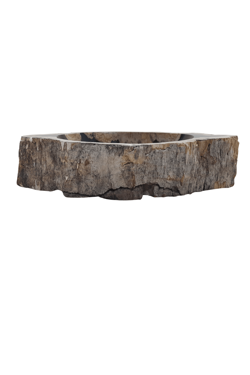 Fossiele versteend houten wasbak 65x31x15 cm