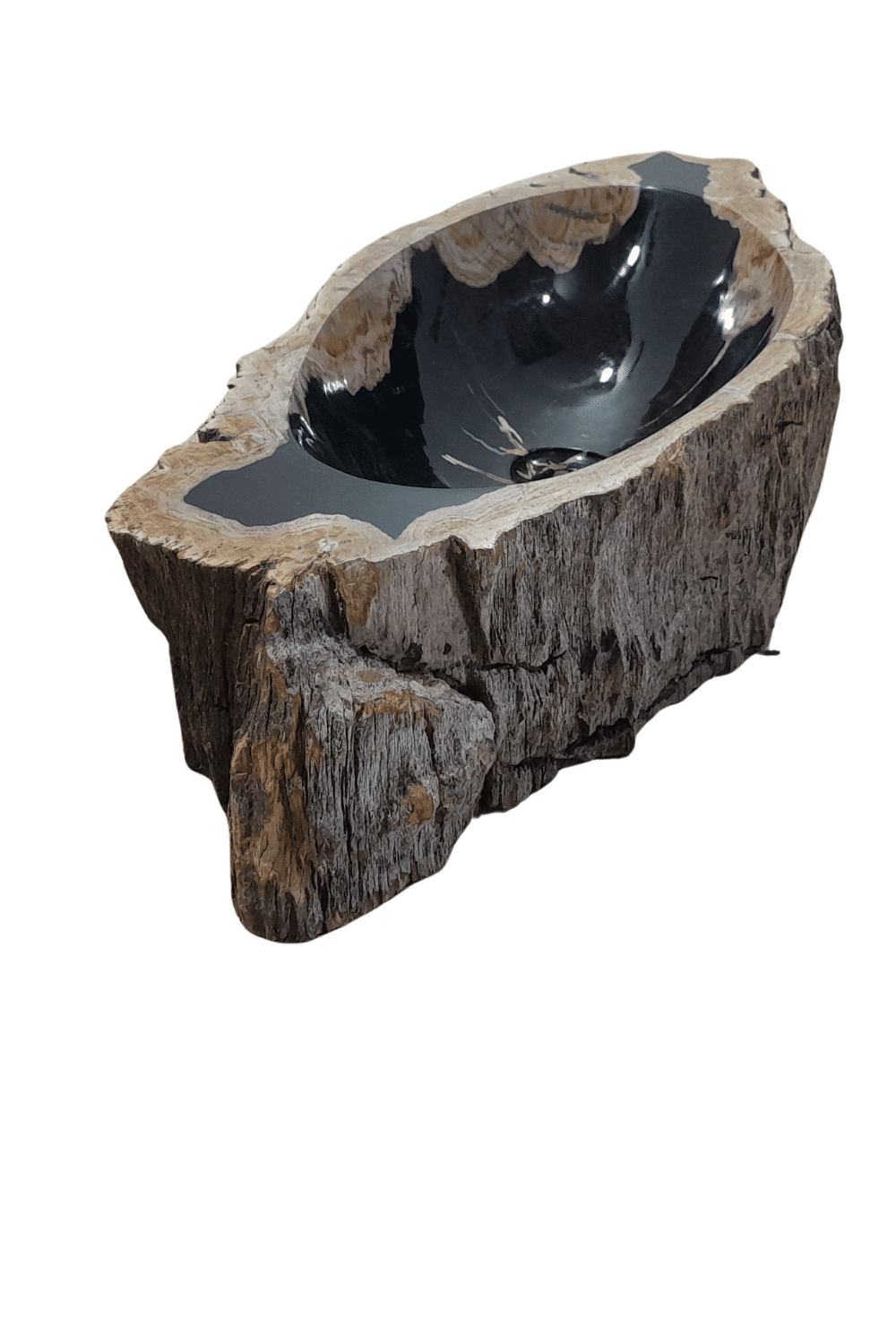Versteend houten fossiele wasbak ovaal zwart met beige 67x31x15 cm