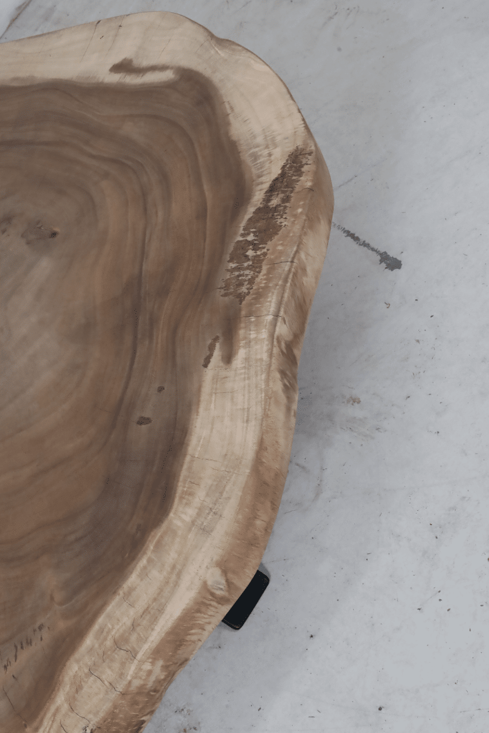 Boomstam salontafel suar hout groot en laag 125x110x38 cm