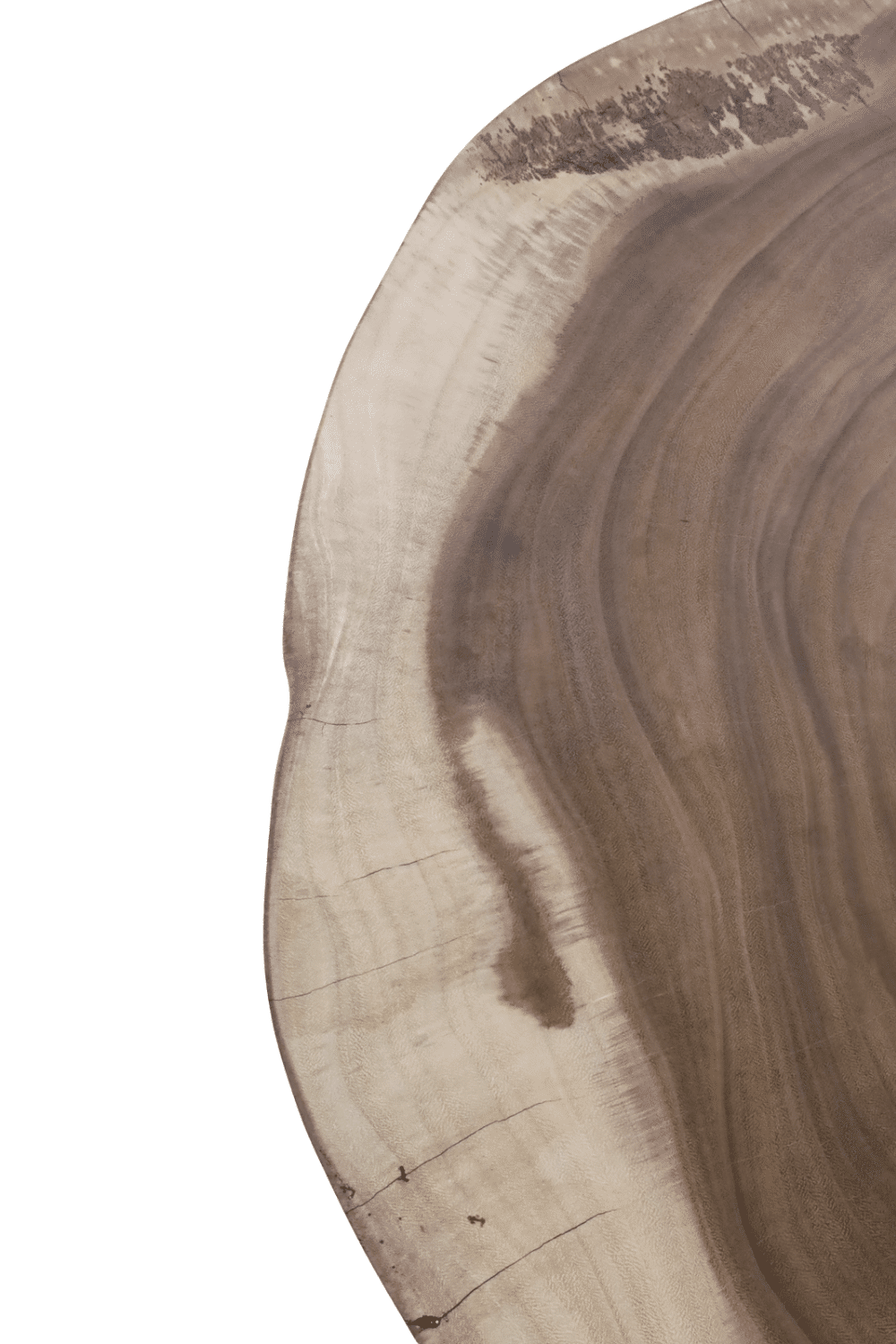 Boomstam salontafel suar hout groot en laag 125x110x38 cm