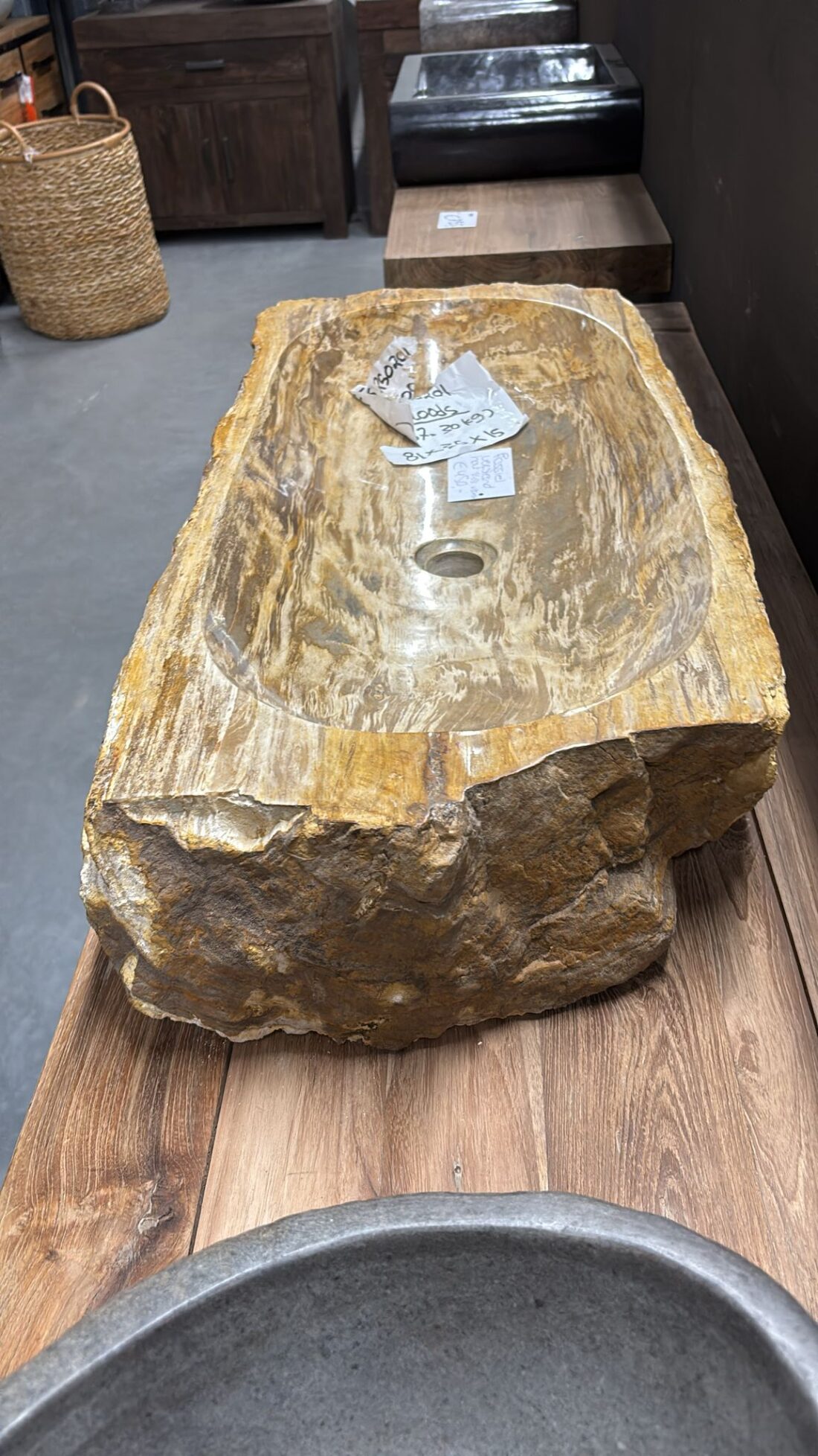 Fossiele Versteend Houten Wasbak