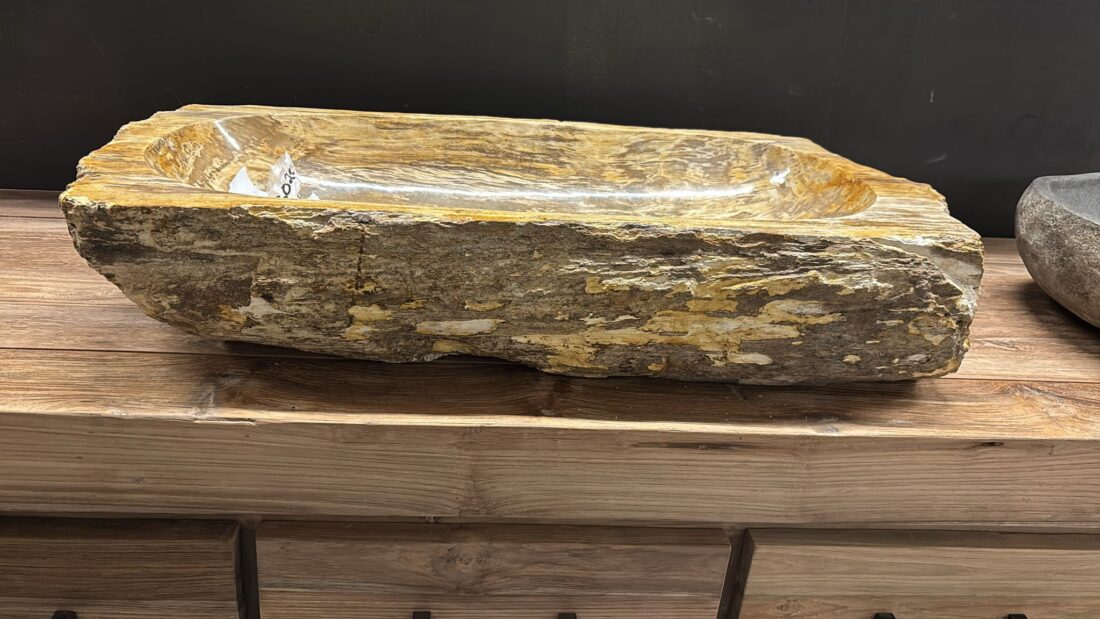 Fossiele Versteend Houten Wasbak
