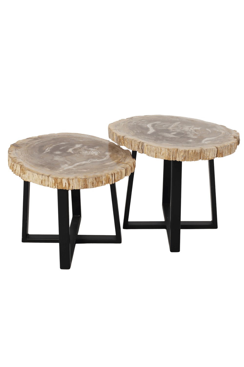 set van 2 versteend houten salontafels fossiel set van 2 versteend houten salontafels fossiel