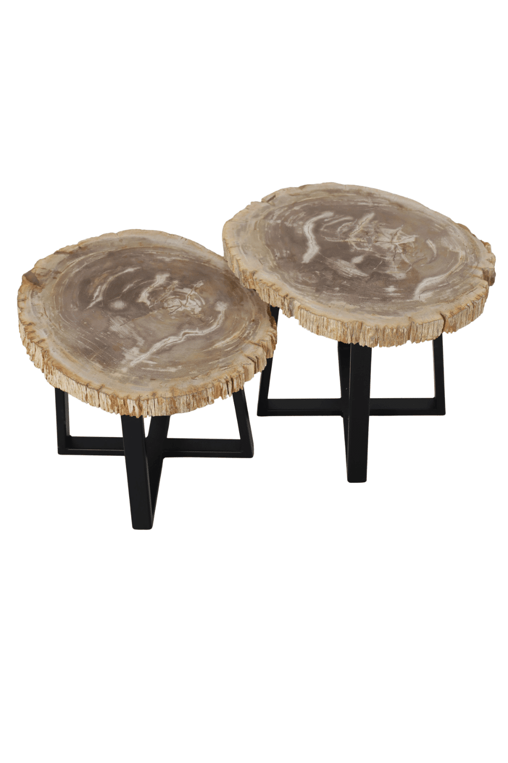 Versteend houten salontafels Versteend houten salontafels