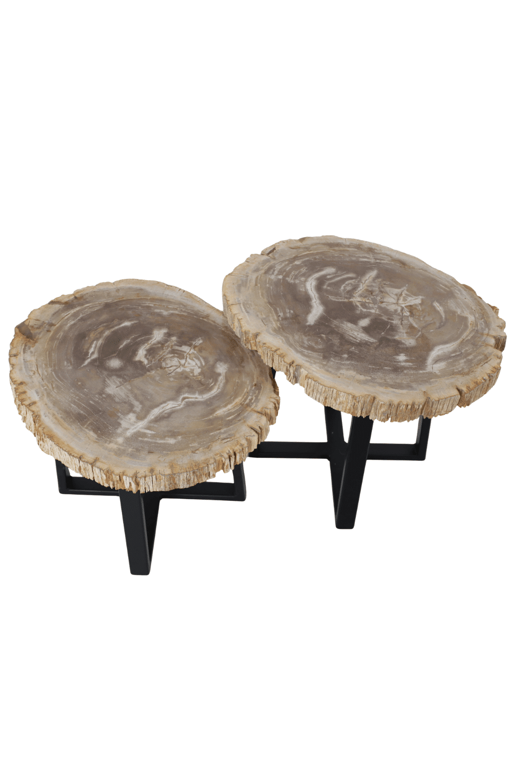 Versteend houten salontafels Versteend houten salontafels