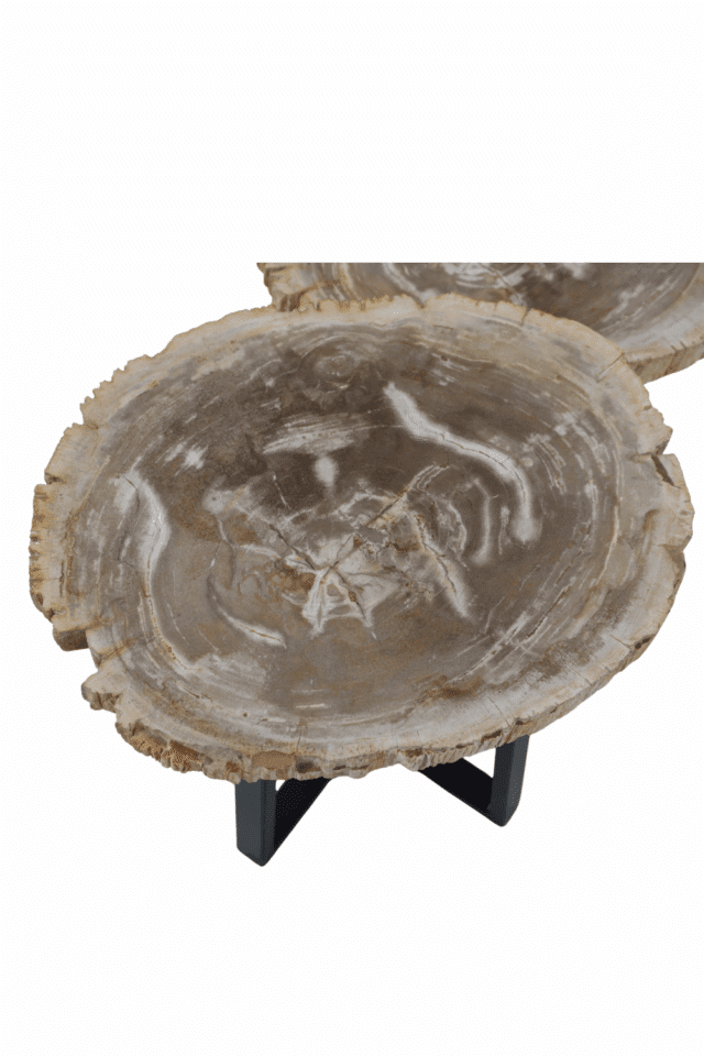 set van 2 versteend houten salontafels fossiel