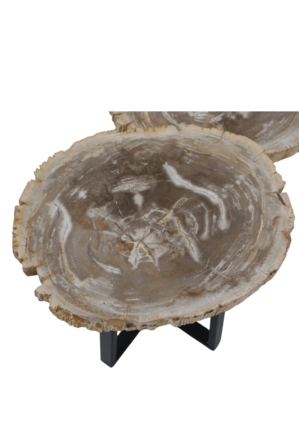 set van 2 versteend houten salontafels fossiel set van 2 versteend houten salontafels fossiel