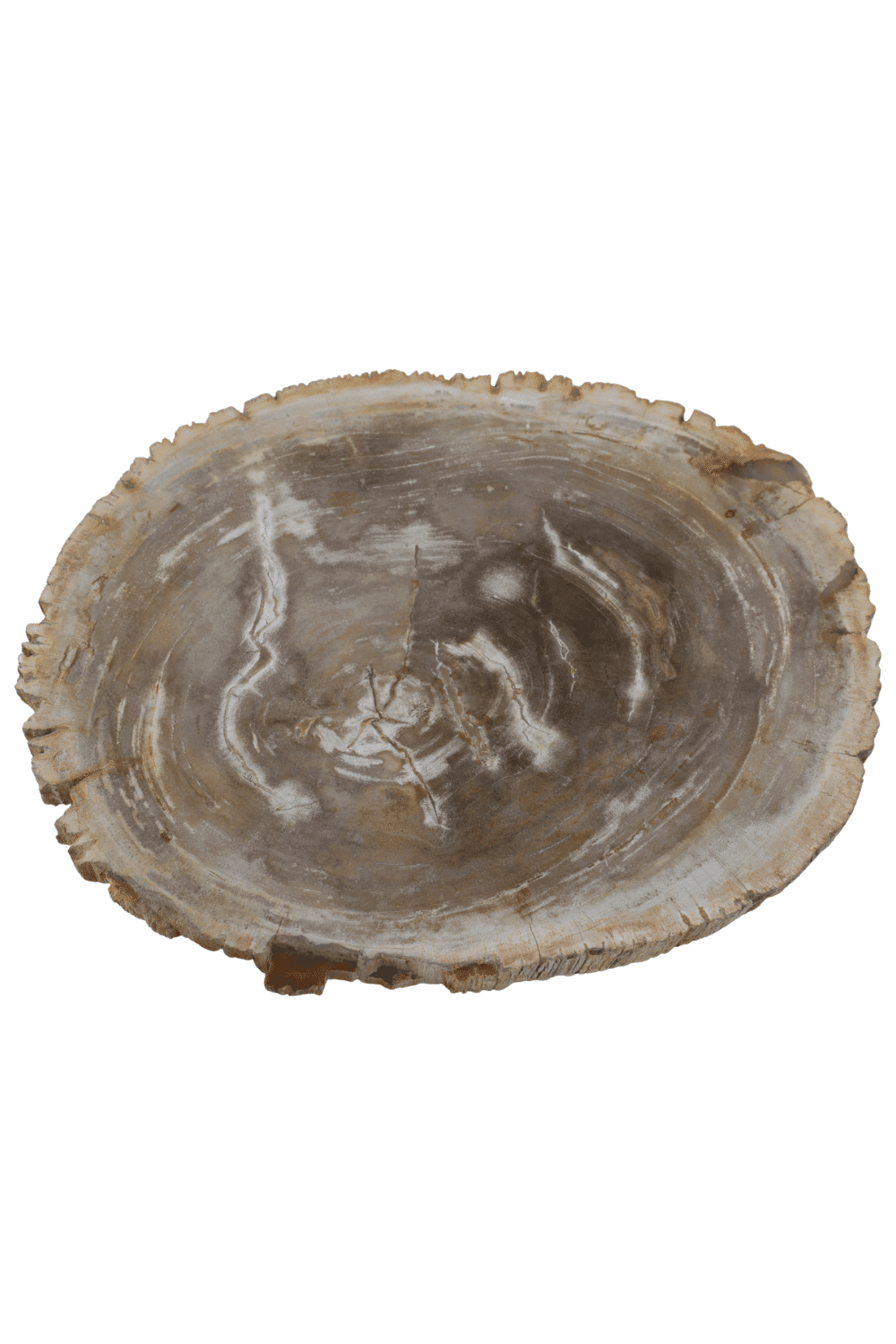 Versteend houten salontafels Versteend houten salontafels