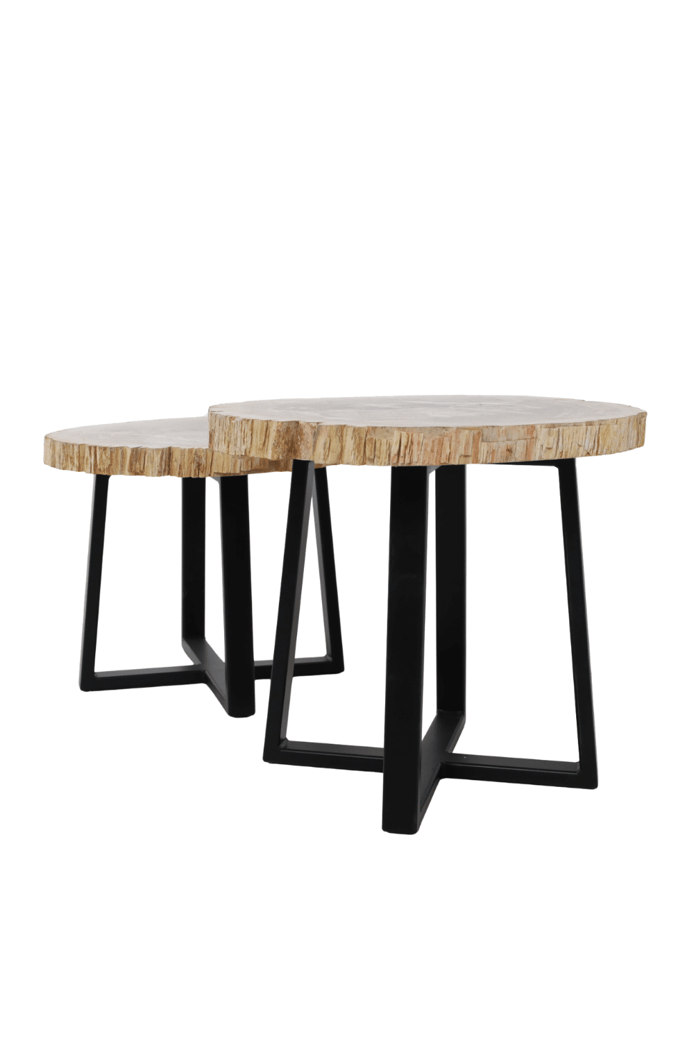 set van 2 versteend houten salontafels fossiel set van 2 versteend houten salontafels fossiel